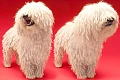 Komondoras (Komondor)